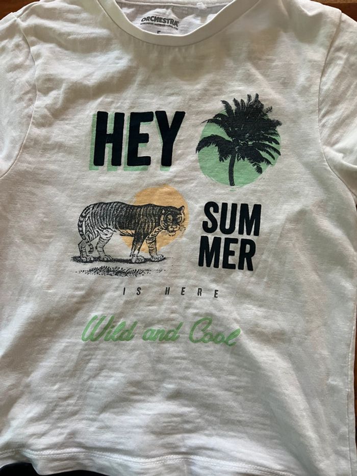 Ensemble orchestra tigre garçon 5 ans - photo numéro 3