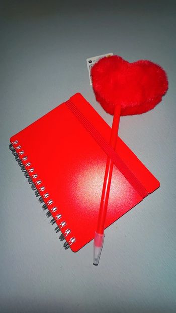 Note Book Stylo Cœur Rouge New