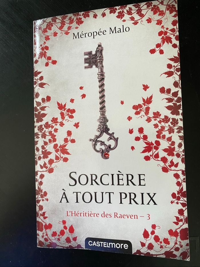 Saga l’héritière des Ravens - photo numéro 6