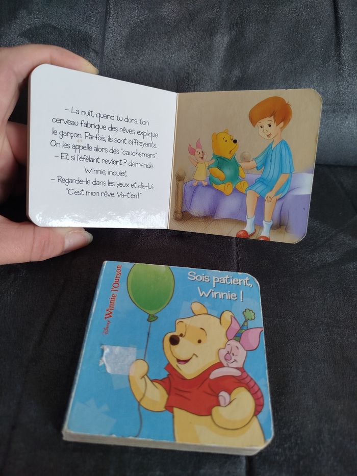 2 livres Winnie l'ourson - photo numéro 2