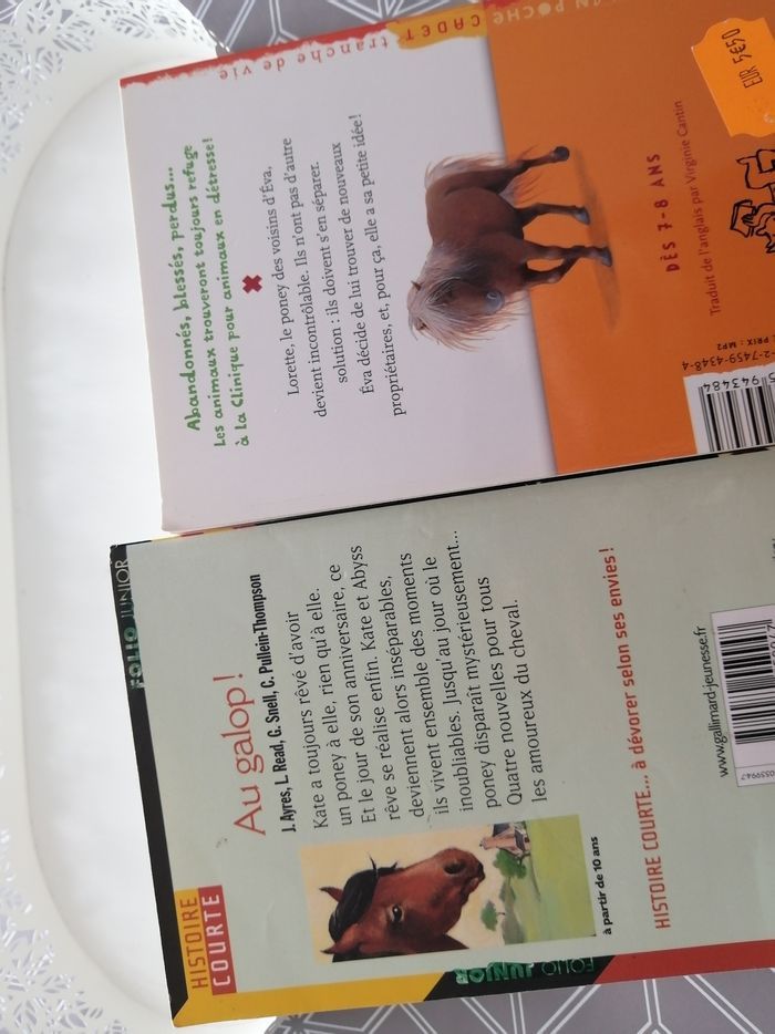 Lot de 2 livres enfants - photo numéro 2