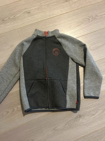 Gilet gris