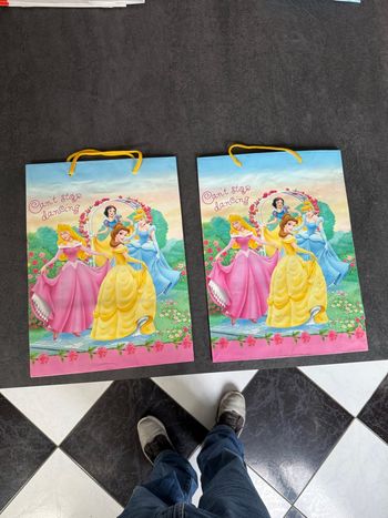 2 pochettes sac cadeaux princesse