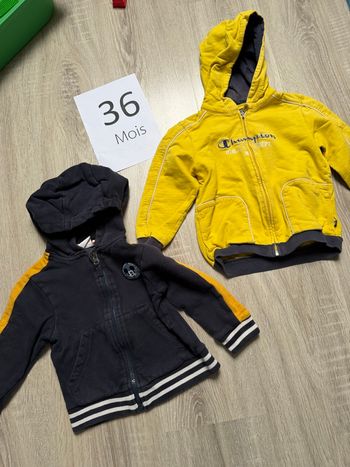 Lot de 2 vestes à capuche 