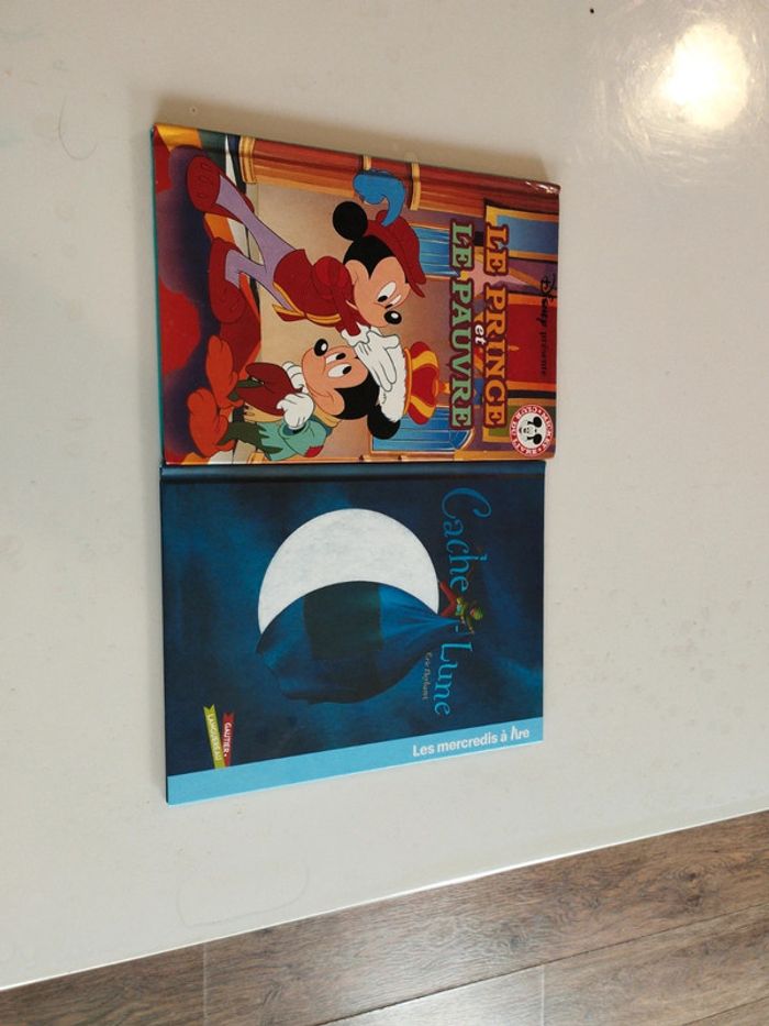 Lot de 2 livres - photo numéro 2