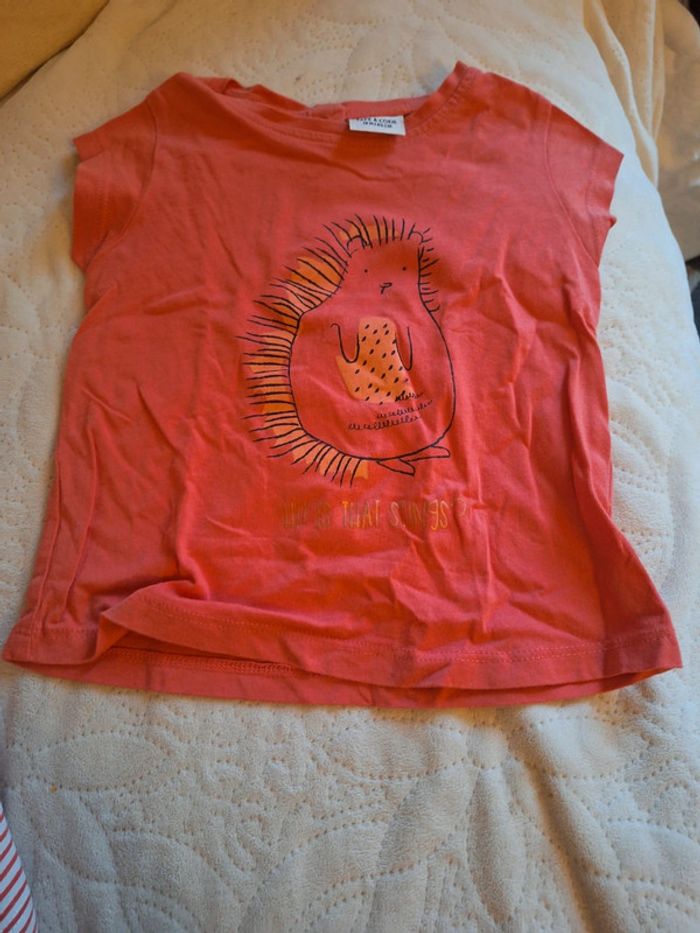 Lot T-shirt TAO 18 mois - photo numéro 4