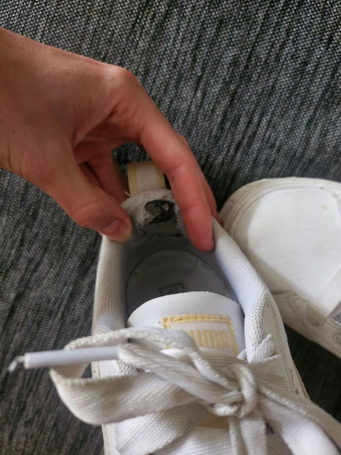 Puma - photo numéro 4