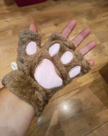 Gants mitaines pattes de chat chien ours