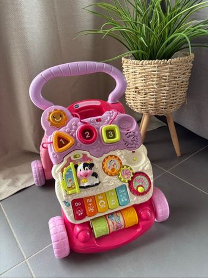 Pousse pousse vtech rose