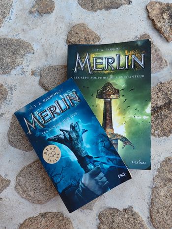 Lot de deux livres merlin