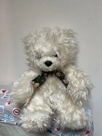 Ours en peluche gina