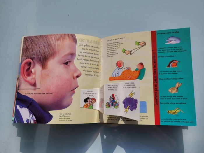 Livre animé Kididoc 👃 Les Cinq sens👂 - photo numéro 10