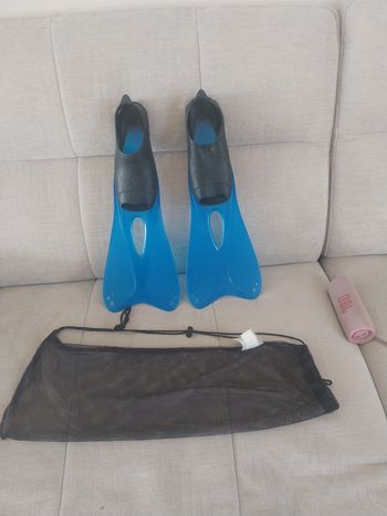 palme tribord