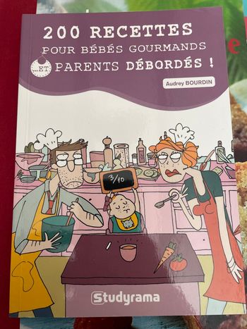 Très joli livre de recette pour bébé 