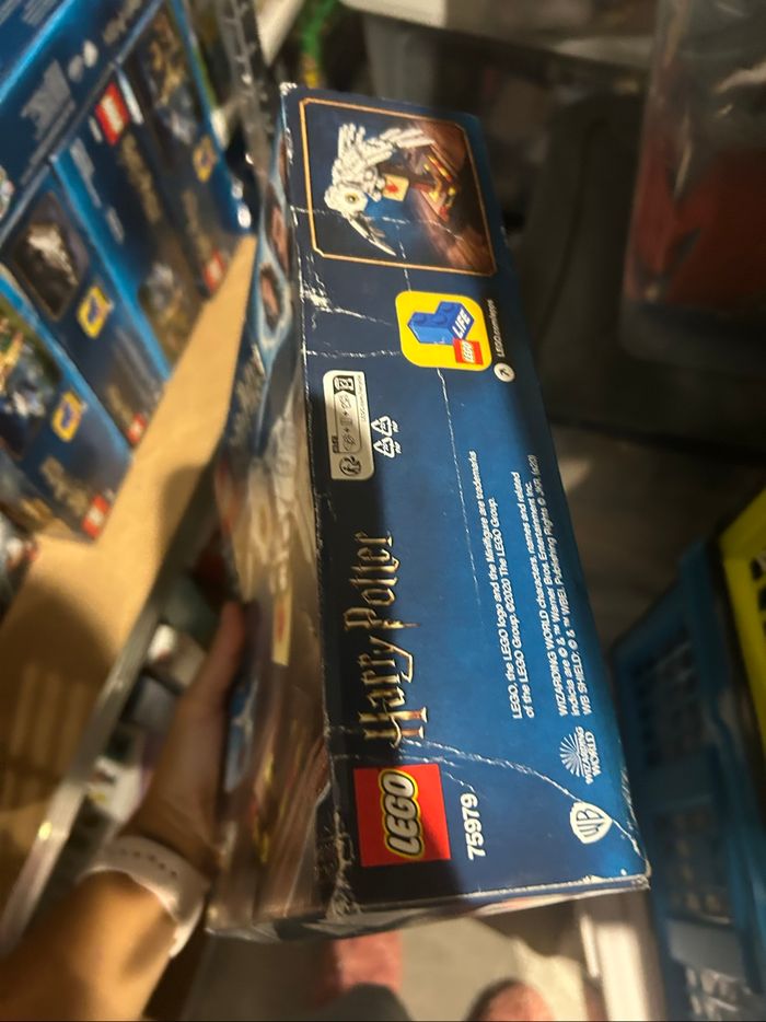 75979 LEGO Harry Potter - photo numéro 4