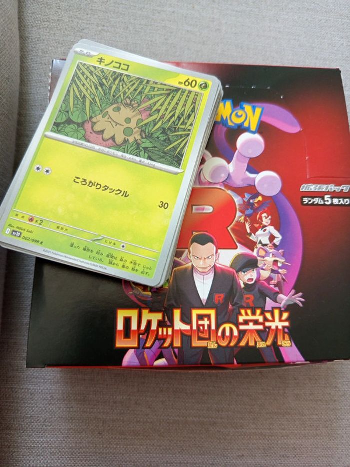 The glory of team rocket gloire à la Team rocket