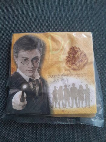 Lot de 32 serviettes en papier Harry Potter