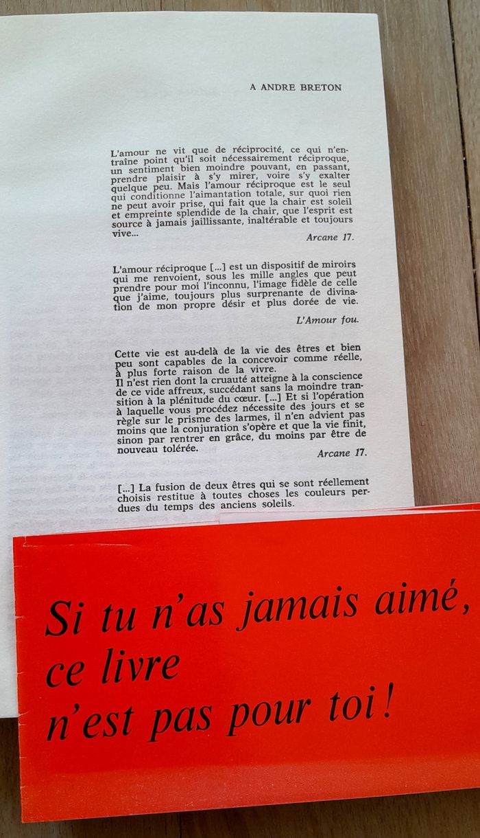 Lo Duca - Clair Amour - photo numéro 7