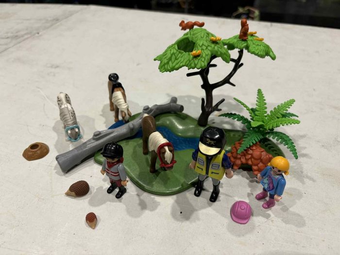 Set de chevaux playmobil avec personnage et accessoires