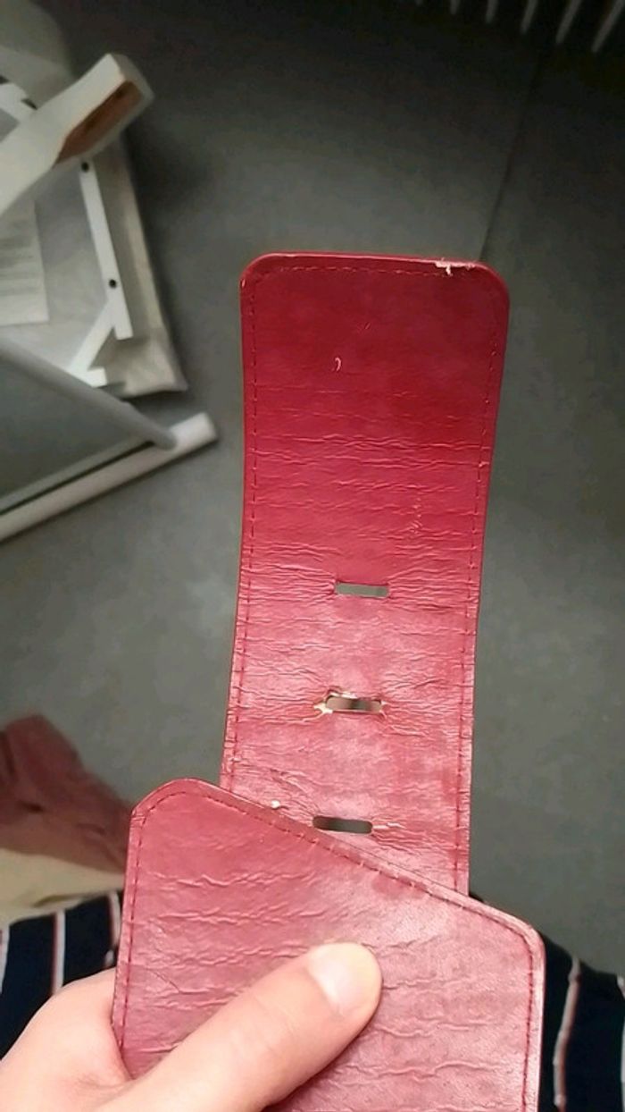Large ceinture - photo numéro 4