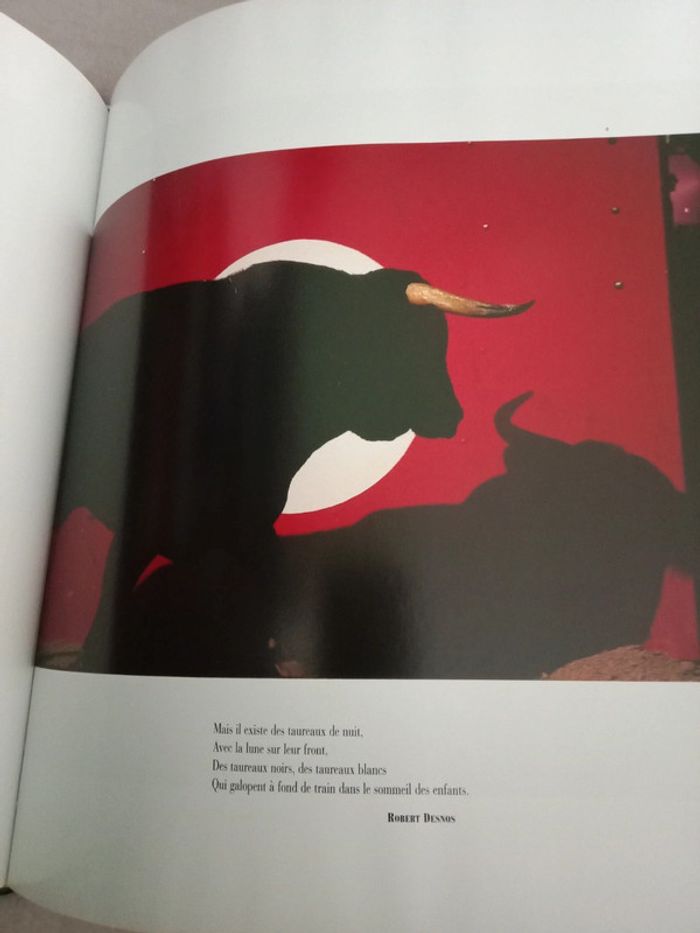 Alaix Bérard 📚 Corrida - photo numéro 3