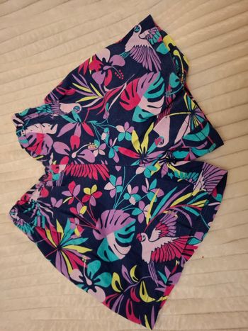 Short multicolor 