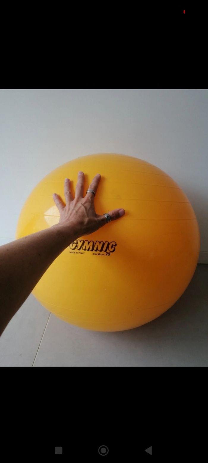 Ballon gymnic, gymnastique,grossesse - photo numéro 3