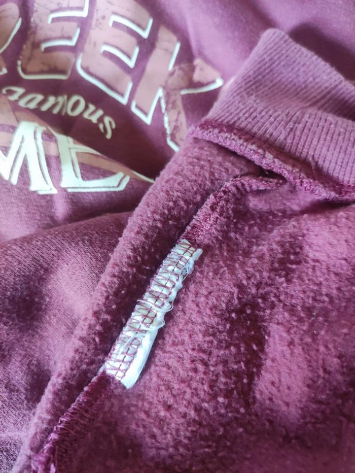 Sweat à capuche taille 14 ans - photo numéro 5
