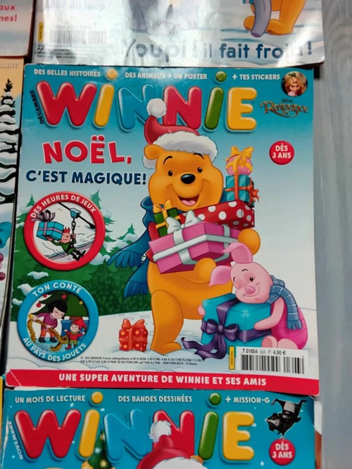 Lot Winnie - photo numéro 5