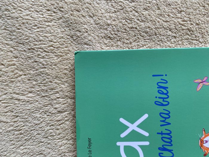 Ajax chat va bien - photo numéro 2