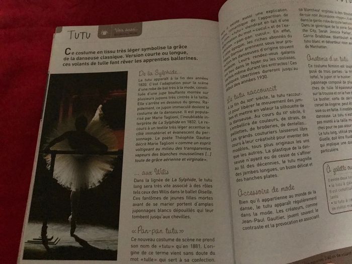 Livre de danse L’encyclo de la danseuse - photo numéro 15