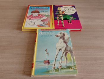 Lot de 3 livres, Divers (idéal bibliothèque)(6)