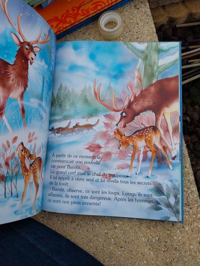 Livre bambi - photo numéro 2