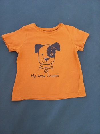 Tee-shirt manches courtes Pat et Ripaton 12 mois