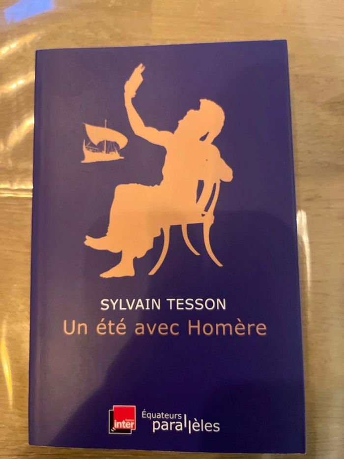 Livre un été avec homere