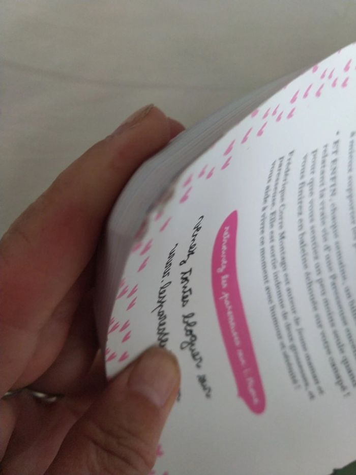 Le cahier grossesse des paresseuses - photo numéro 2