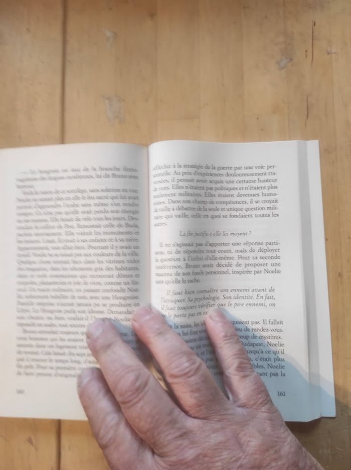 Looping Alexia Stresi Livre de Poche 2018 - photo numéro 4