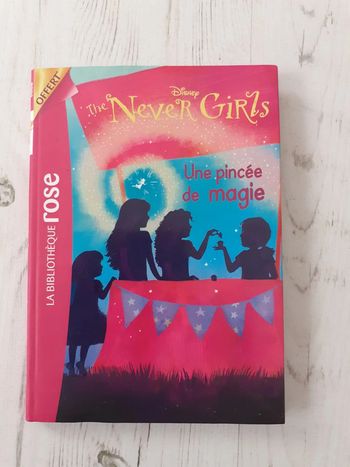 Livre The Never Girls de Disney