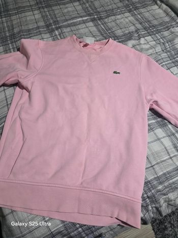 Pull lacoste