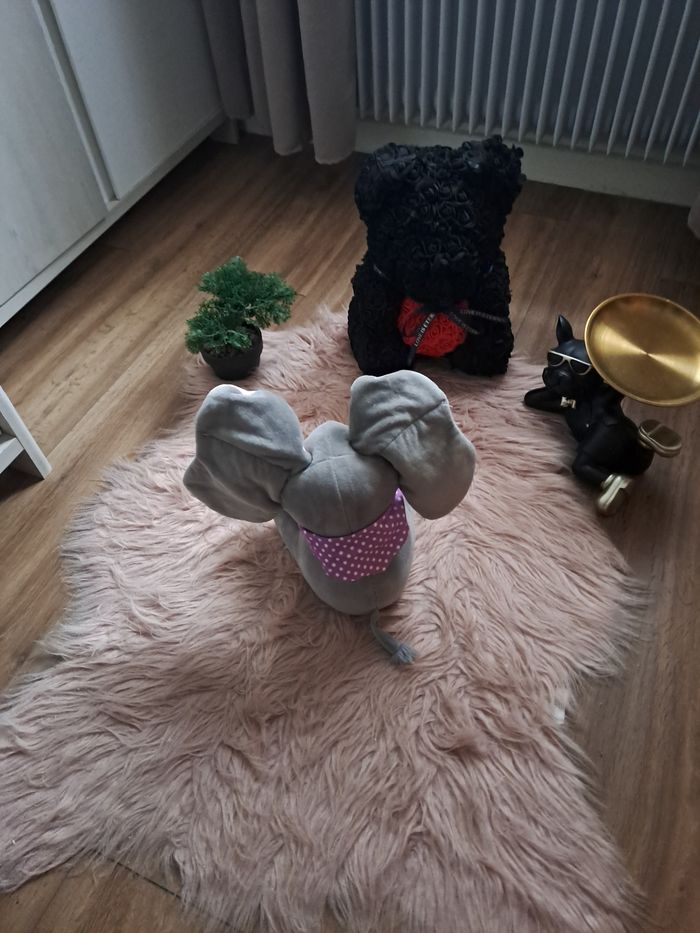 Elephant - photo numéro 2