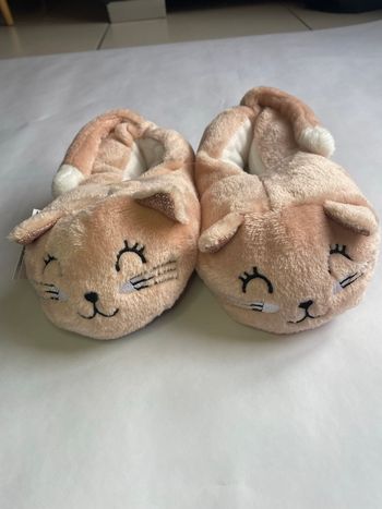 Chausson chat