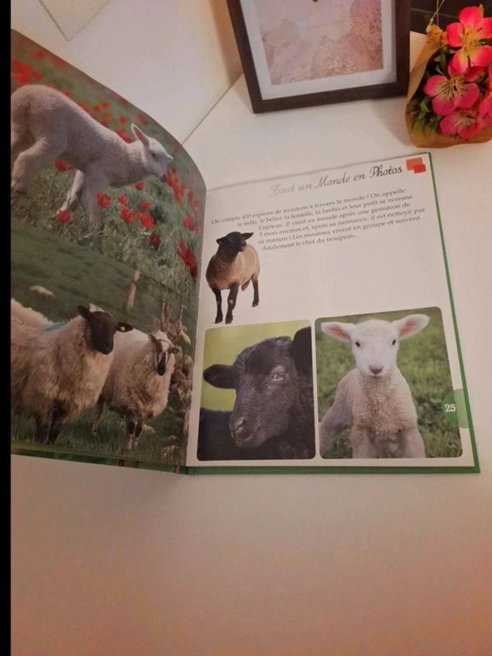 Livre pour enfants les animaux de la ferme très bon état - photo numéro 3