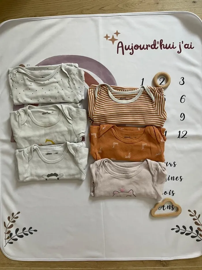 Lot de 6 bodys bébé fille – Gémo – Taille 24 mois