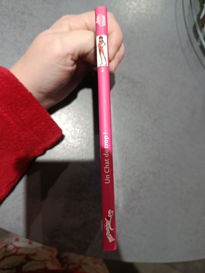 Miraculous 2un Chat de trop - photo numéro 3