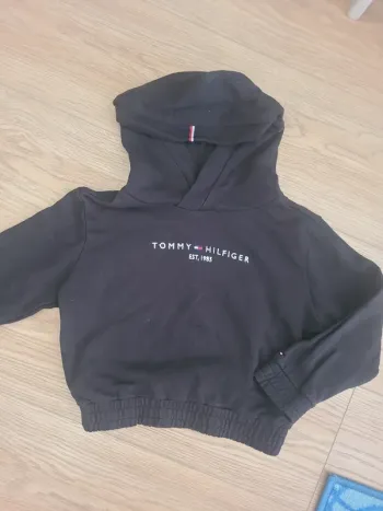 Sweat à capuche Tommy Hilfiger