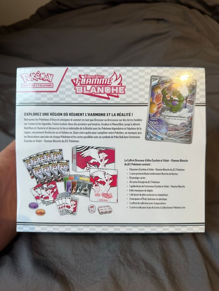 Etb Flammes blanches - photo numéro 5