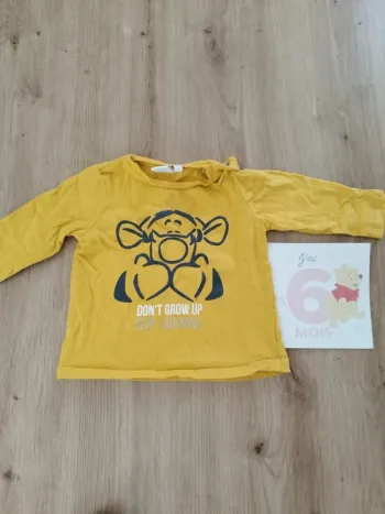 Tee shirt manches longues Tigrou