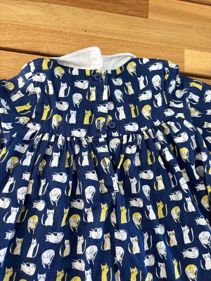 Robe bleue chats - photo numéro 7