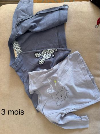 Ensemble tee shirt +veste 