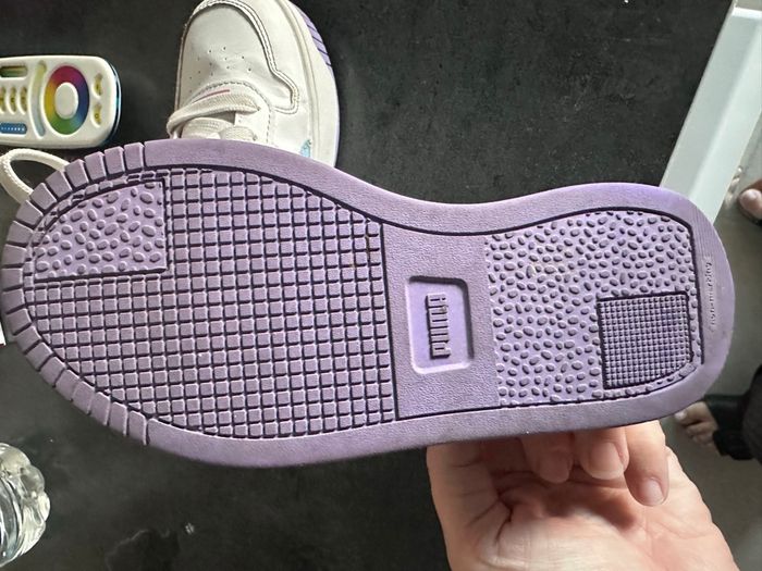 Puma - photo numéro 2